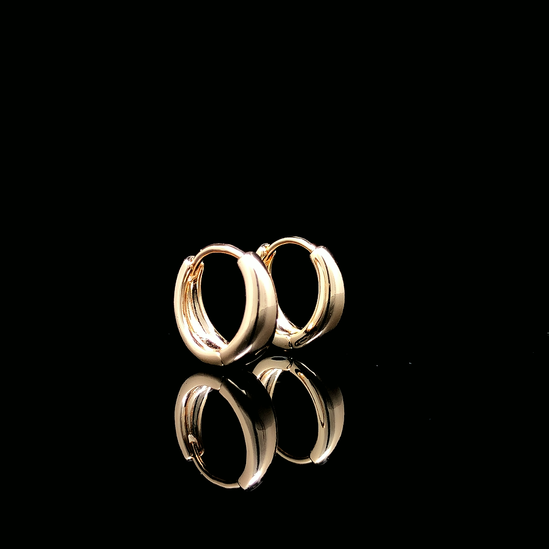 Golden Crescent Hoop Earrings